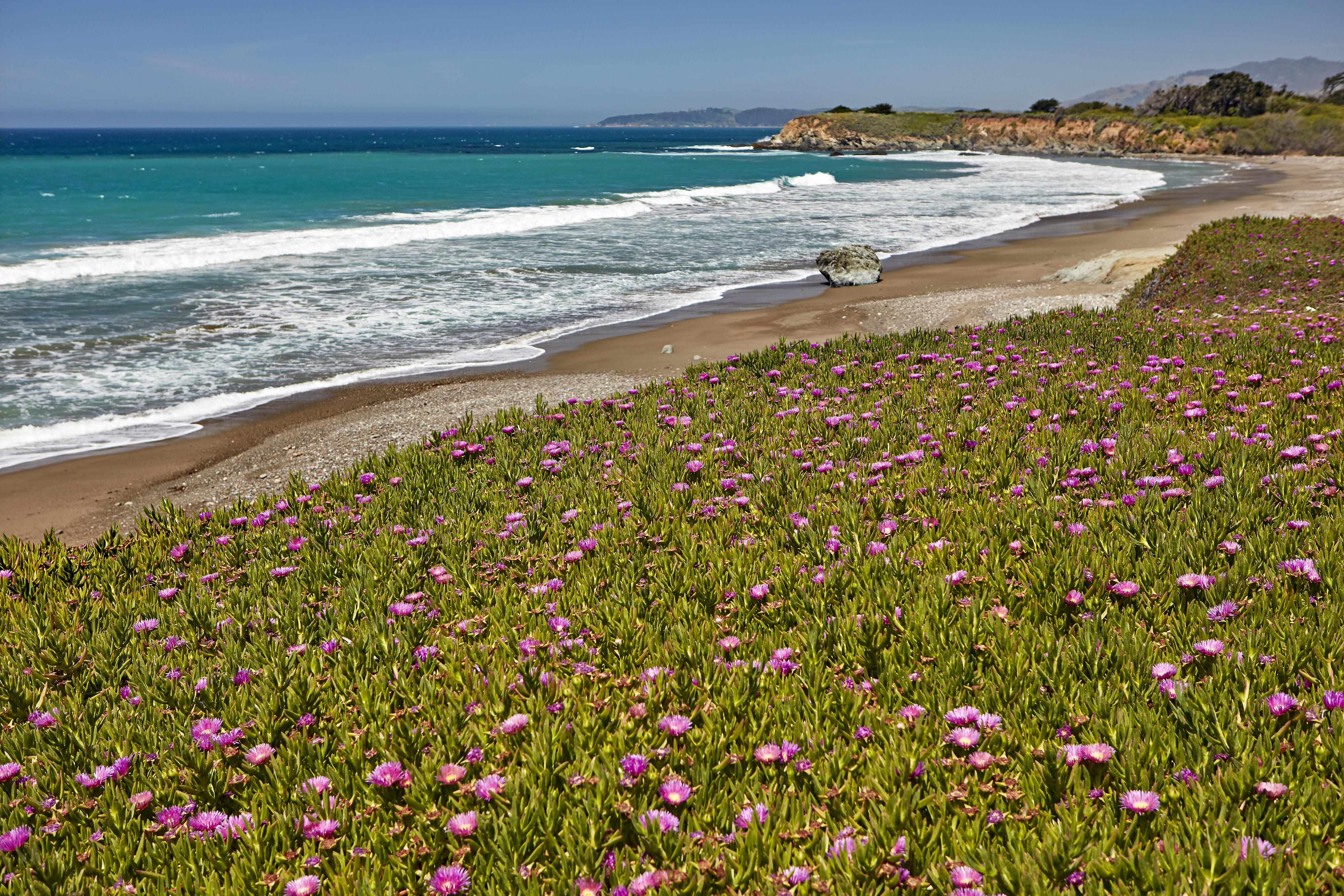 Cavalier Oceanfront Resort San Simeon Ngoại thất bức ảnh